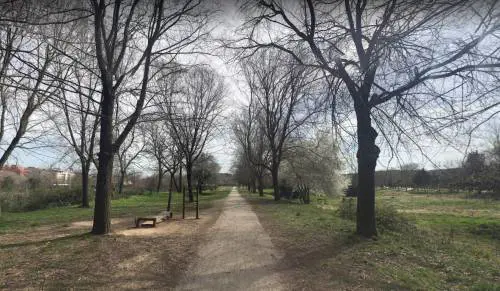"Faceva foto ai nostri bimbi", allarme maniaco in un parco di Roma