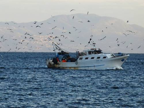 "Norme che uccidono la pesca". L'Italia contro il nuovo documento Ue