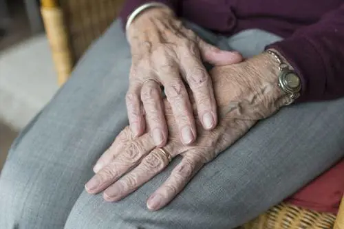 Bonus colf e badanti e pagamento dei contributi: ecco come fare