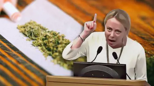 Lotta alla cannabis, perché ha ragione la Meloni