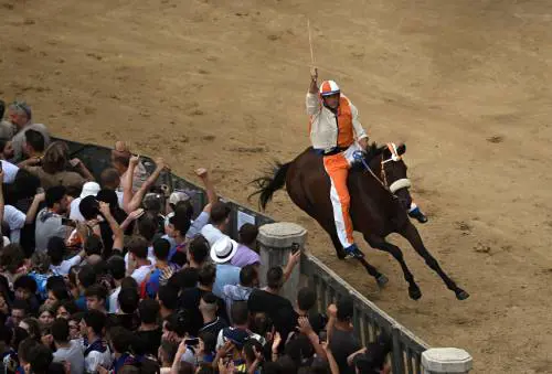 Siena, i mille trucchi e tradimenti del Palio