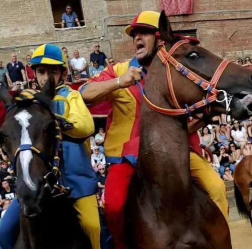 Chiocciola e Tartuca (fonte: facebook la voce del palio)