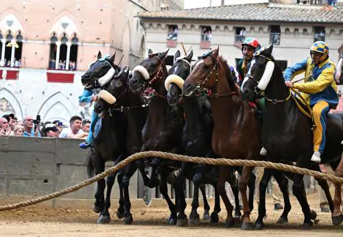 Tittia da record al Palio di Siena: quinta vittoria di fila