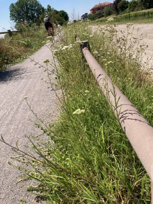 Le ciclabili dimenticate tra buche, rovi e incuria. Altroché vie turistiche