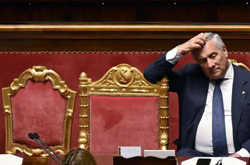 "Alleati in Ue con Liberali e Conservatori". Dal Ponte a giustizia e tasse, le priorità