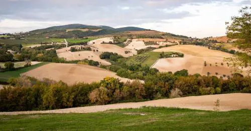 Recanati, ecco cosa vedere e cosa fare nel comune marchigiano più amato