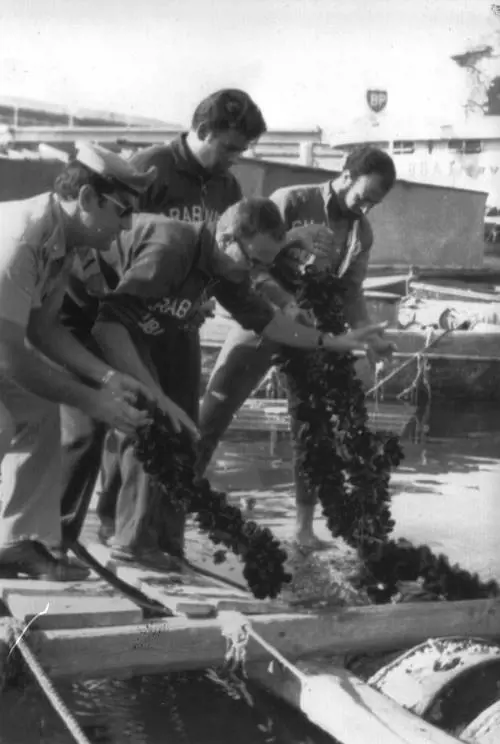 Il ritorno del colera