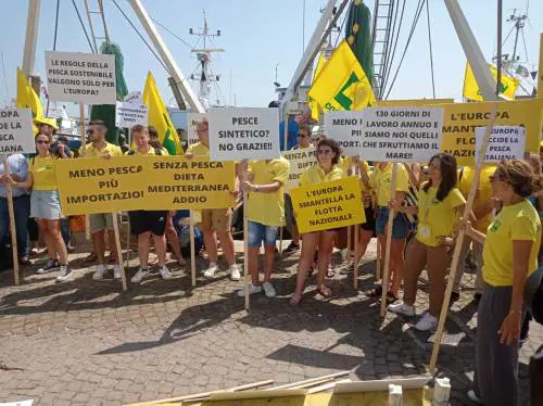 Il diktat Ue sulla pesca e i rischi per l'Italia: “Sparirà un pesce italiano su tre”.