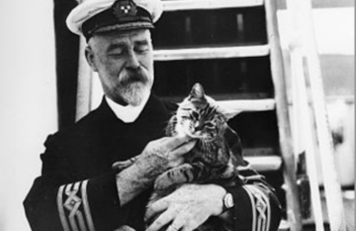 La storia di Jenny, la gatta che predisse il naufragio del Titanic