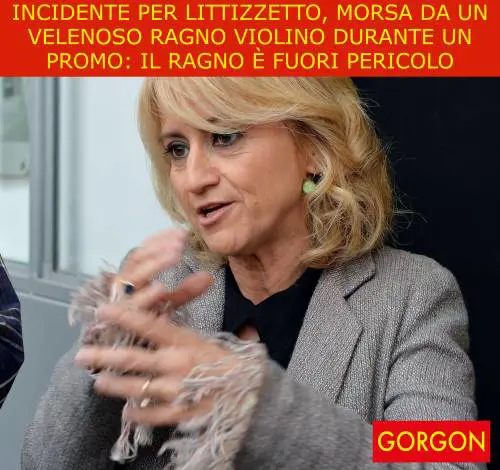 La satira del giorno. Incidente per la Littizzetto