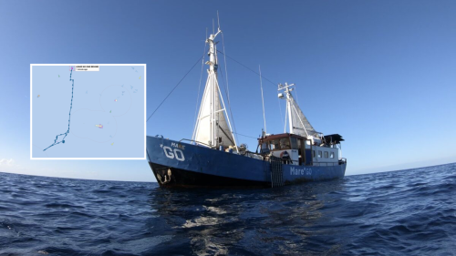 Raggiunge alte velocità e opera nel silenzio: il gommone che supporta l'ong tedesca Mare*Go