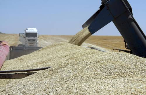 Battaglia sul grano ucraino: lo stop del "blocco Est" sfida l'Ue