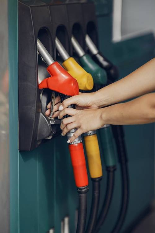 https://img.ilgcdn.com/sites/default/files/styles/md/public/foto/2023/07/19/1689788314-pexels-photo-4173096.jpeg?_=1689788314