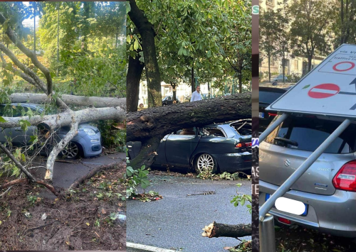 Auto devastata da grandine e alberi? Ecco come ottenere il rimborso