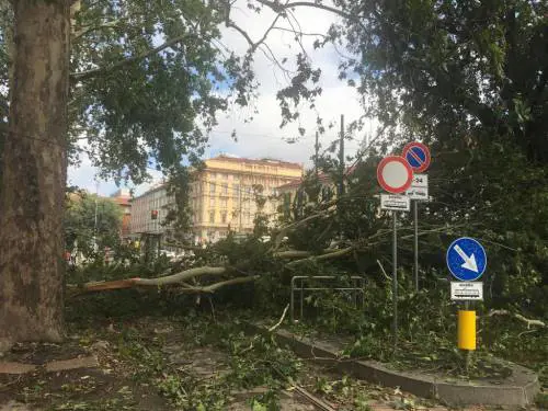 "Sala sospenda Area B e C". La richiesta dopo la bufera su Milano