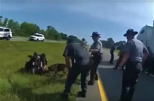 Afroamericano azzannato dal cane poliziotto: il video choc