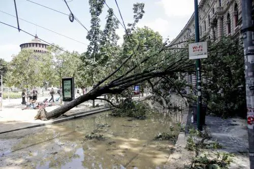 Urlando contro il cielo