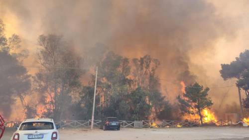 Incendi nel Sud Italia: fiamme anche in una pineta a Ugento (Lecce)