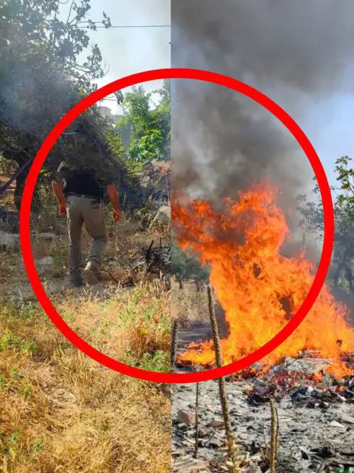 Macché apocalisse, in Calabria è solo colpa dei piromani 