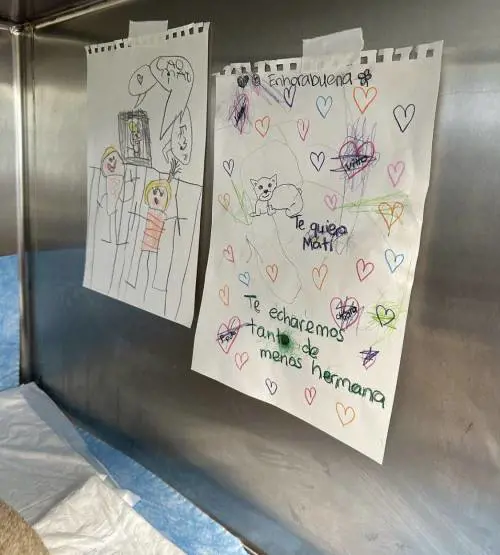 "Sei stata la mia famiglia". Chiara Ferragni saluta per sempre la cagnolina Matilda