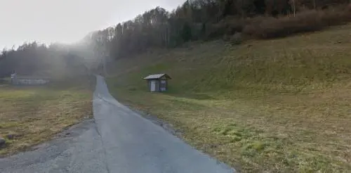 Il Tar di Trento salva l'orsa F36: sospeso il decreto di abbattimento 