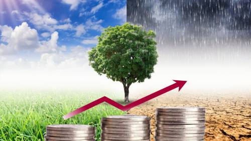 La trovata ecologista: il boom dei prezzi è colpa del clima
