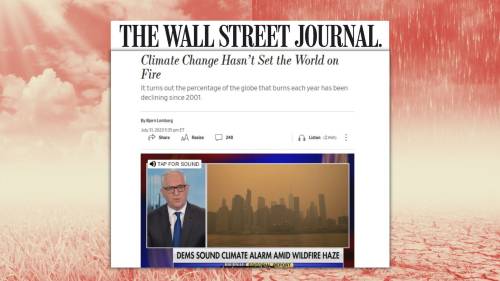 No, il cambiamento climatico non ha incendiato il mondo