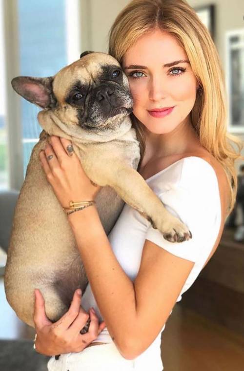 "Non comprate il cane della Ferragni". Ecco perché i bulldog francesi passano una vita infernale