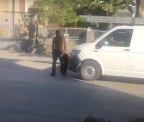 Misure cautelari e permesso di soggiorno: ecco perché la belva di Rovereto non poteva essere espulso