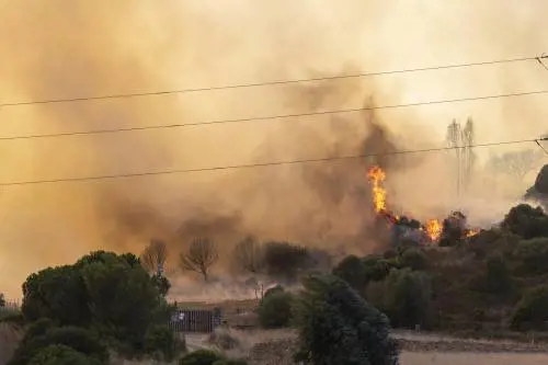 Incendi in Sardegna di origine dolosa: è caccia ai piromani