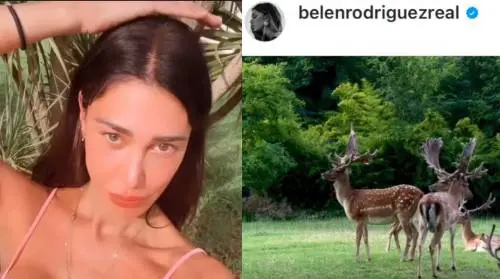 Le "corna" sulla testa, il video dei cervi: così Belen spiazza tutti sui social