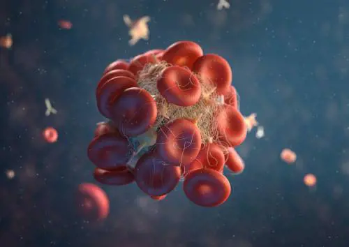 Il benessere della buona circolazione e microcircolazione: i vantaggi e 7 consigli