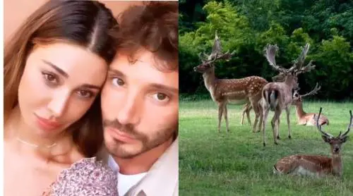Stefano e quella voce femminile, Belen pubblica il video con le corna: cosa succede tra De Martino e la Rodriguez 
