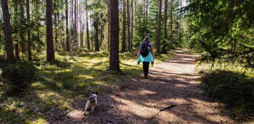 Bending Spoons acquisisce Komoot, app del trekking da 45milioni di utenti
