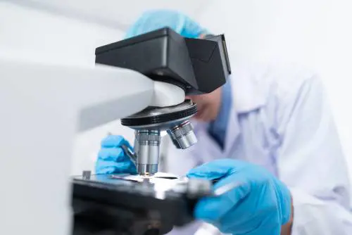 Il "Nobel" della ricerca per le cellule anti tumori