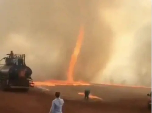 Venti di 220 km orari e colonne di fuoco. È allarme per i Firenado: ecco cosa sono