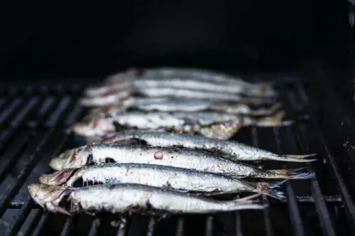 Effetto Fukushima sulla pesca: cos'è successo al pesce giapponese