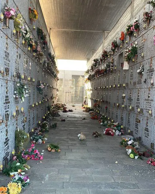 Alcune delle tombe vandalizzate