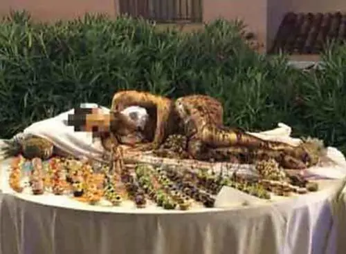 L'amara idiozia di "servire" una ragazza di cioccolata