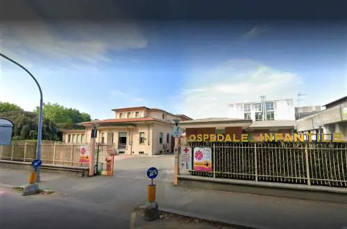 Punto da un calabrone: bimbo di 9 anni muore per choc anafilattico