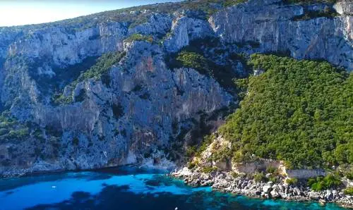 Muore travolta da un albero in spiaggia in Sardegna: 28enne era in una zona vietata