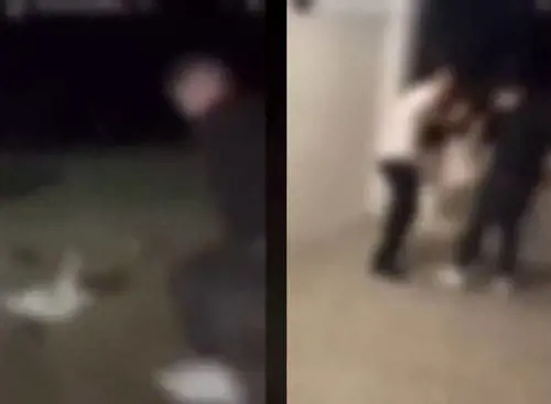 Orrore ad Anagni: così il branco si è accanito contro una capretta indifesa