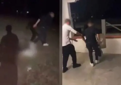 Capretta uccisa a calci ad Anagni, partita caccia alle streghe per scovare i responsabili