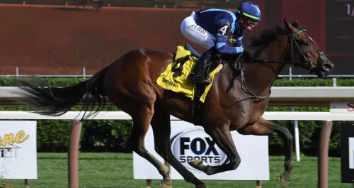 Brightwork (fonte: nyra.com)