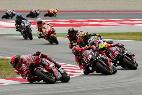 Pecco investito si salva. È un miracolo. "Posso solo dire grazie"