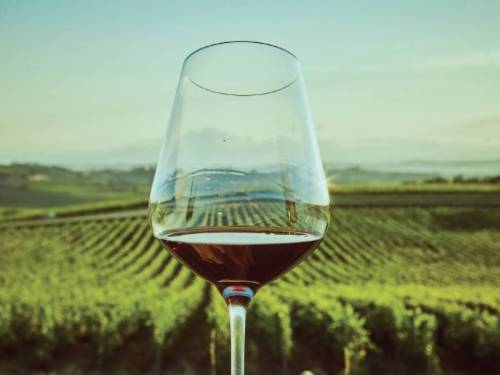Montepulciano, scoppia la "guerra del vino" fra l'Abruzzo e il resto d'Italia: ecco perché