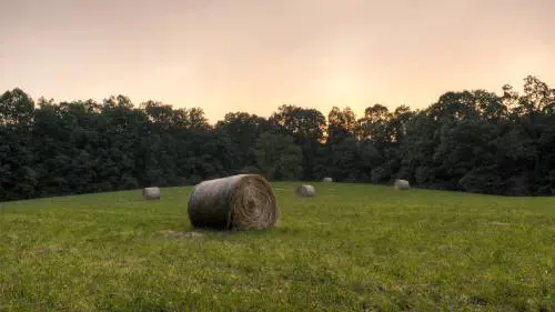 Un viaggio nel tempo nel Kentucky rurale che si specchia in Trump