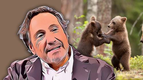 Un’altra previsione flop di Tozzi: i cuccioli di Amarena stanno bene