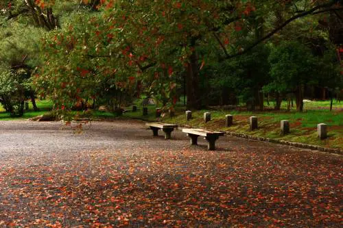 La passeggiata, poi il marocchino stupra la 16enne. Orrore in un parco di Guidonia
