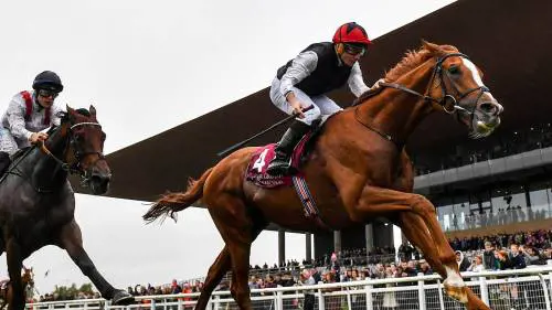 Kyprios (fonte:irishtime.com)